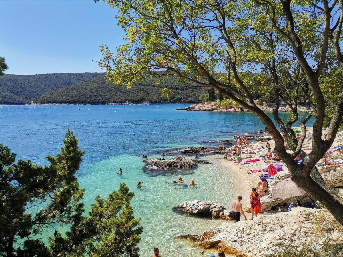 Lovely Apartment Branko Rabac With Balcony And Parking Εξωτερικό φωτογραφία